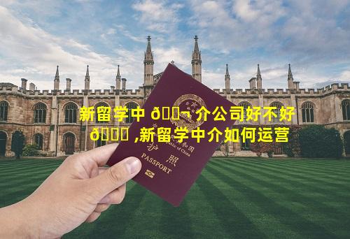 新留学中 🐬 介公司好不好 🐋 ,新留学中介如何运营